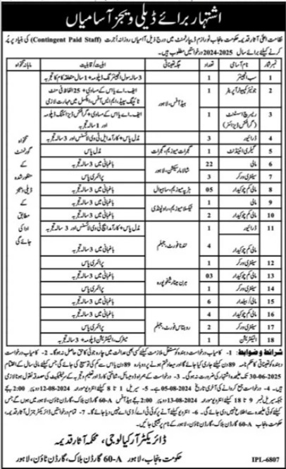 Archaeology & Museum Jobs 2024
