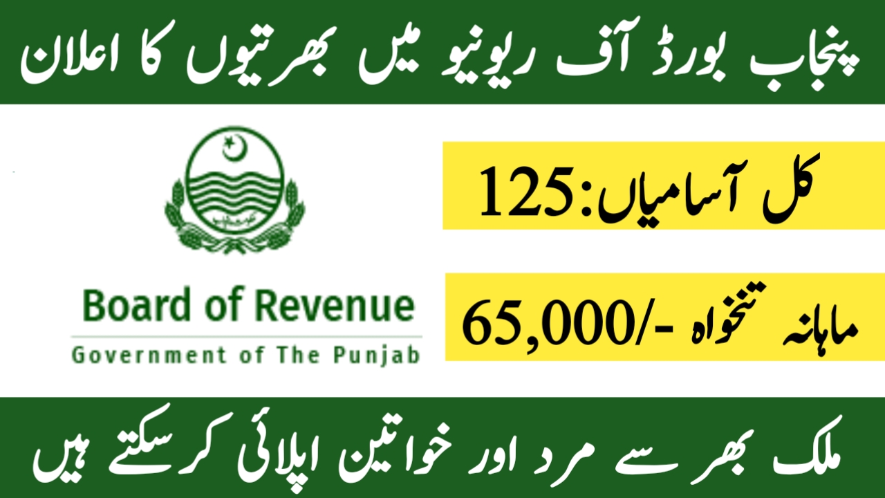 Board of Revenue Punjab Jobs 2024 - Online Apply