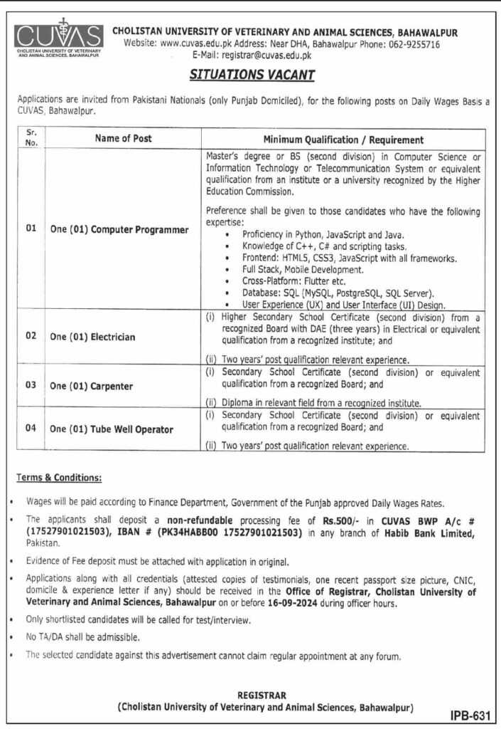Cholistan University Bahawalpur Jobs 2024 - CUVAS Jobs 2024