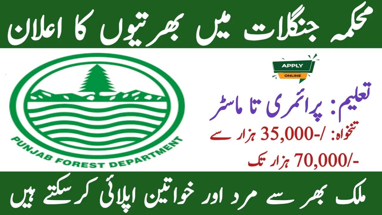 Punjab Forest Department Jobs 2024