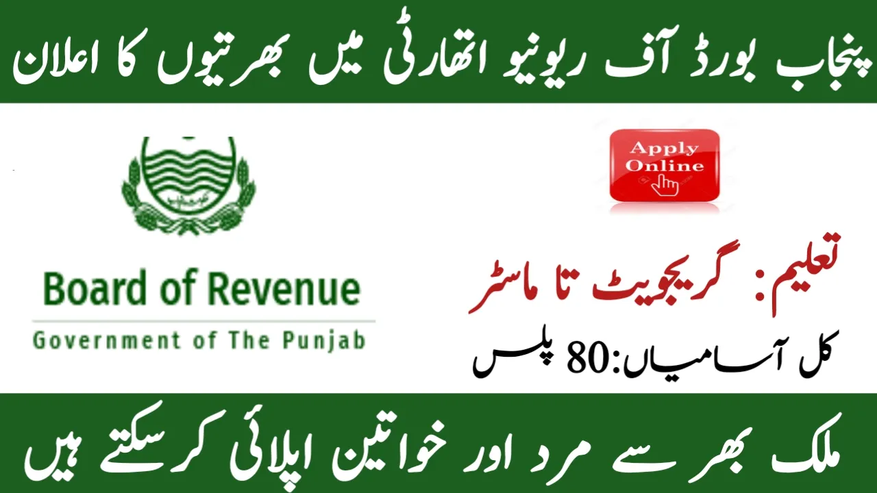 Punjab Board of Revenue Jobs 2025