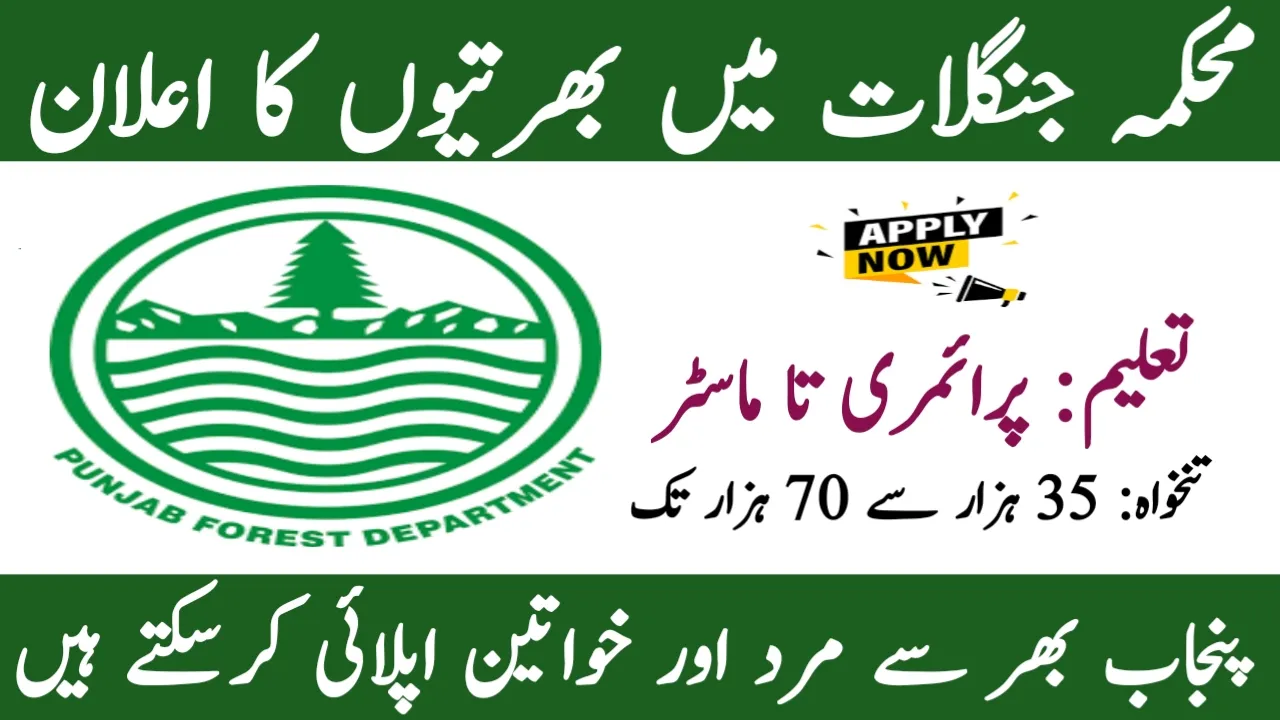 Punjab Forest Department Careers