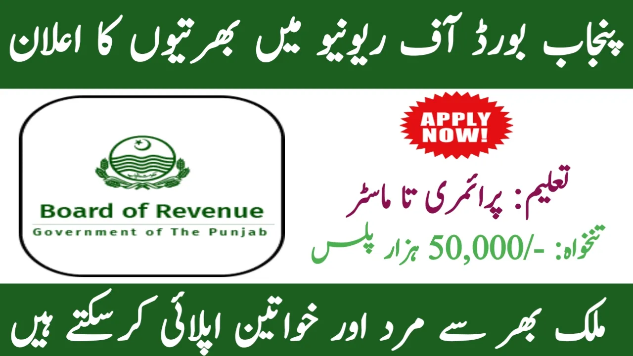 Punjab Board of Revenue Jobs 2025