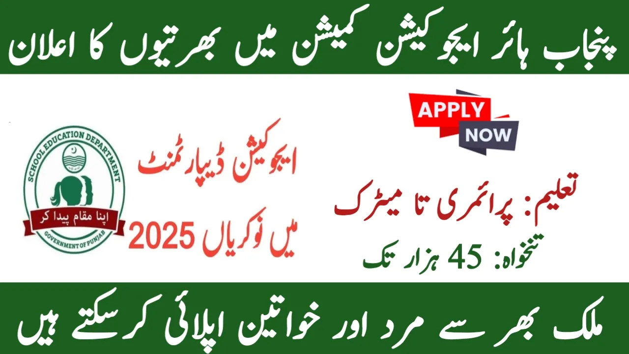 Punjab Higher Education Commission Jobs 2025