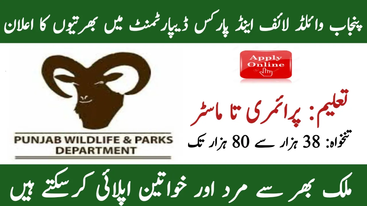 Punjab Wildlife and Parks Department Jobs 2025
