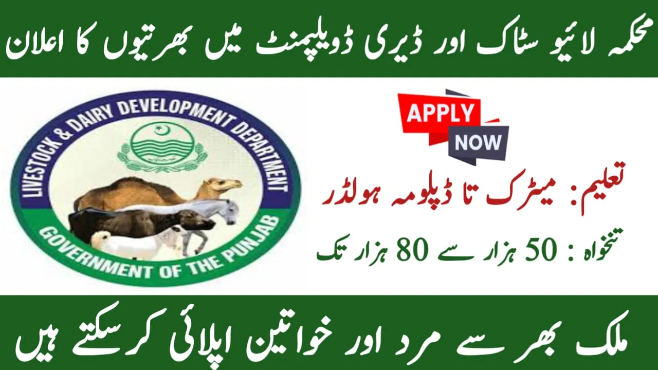 Livestock and Dairy Development Jobs