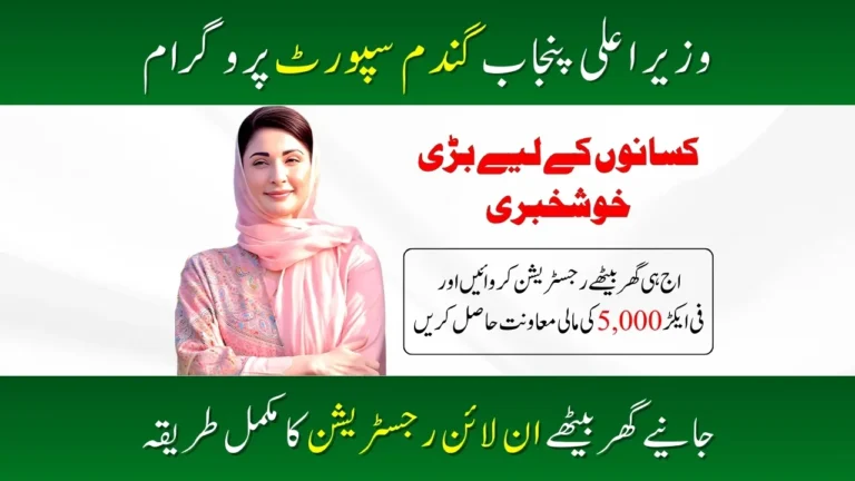 CM Punjab Wheat Support Program 2025