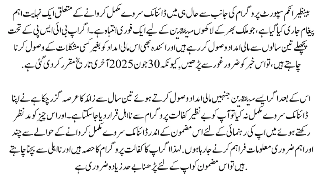 BISP Dynamic Survey 2025