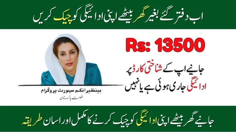 How to Verify BISP 8171 Payments New Update 2025