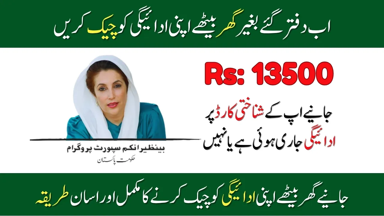 How to Verify BISP 8171 Payments New Update 2025