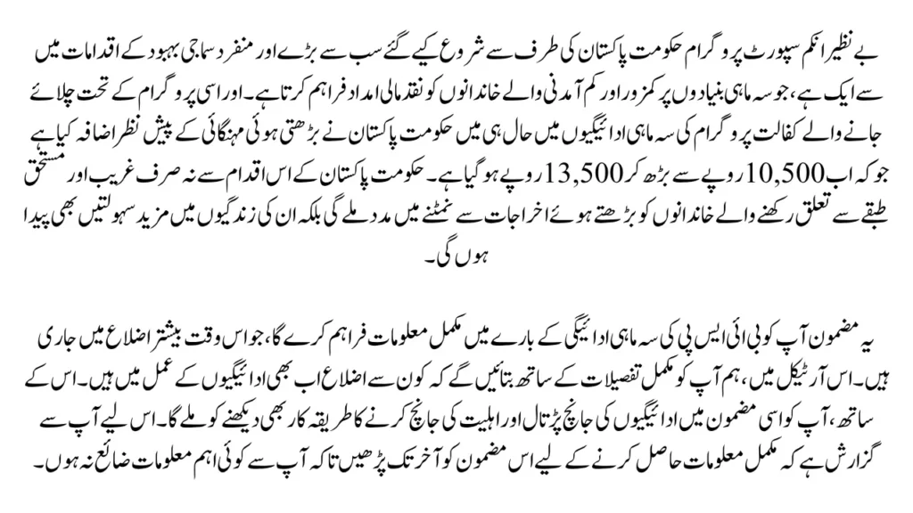 BISE New Payments