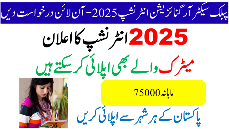 PSO Public Sector Organization Internship