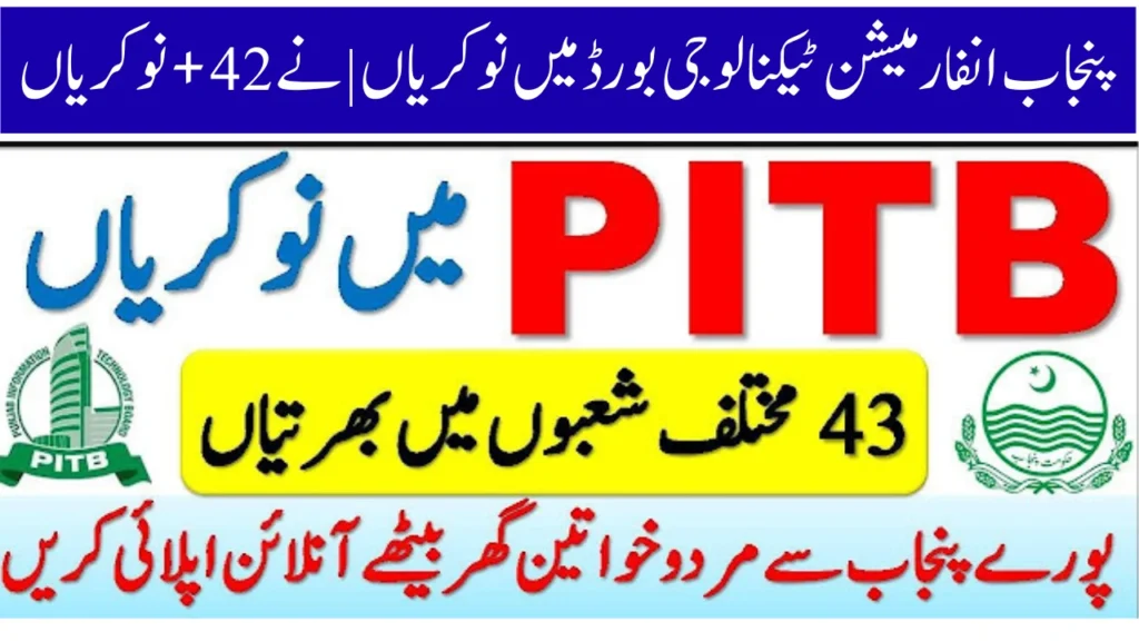 Punjab Information Technology Board Jobs