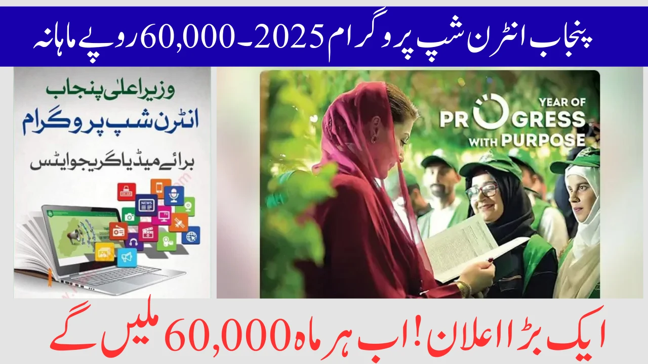 Punjab Internship Program