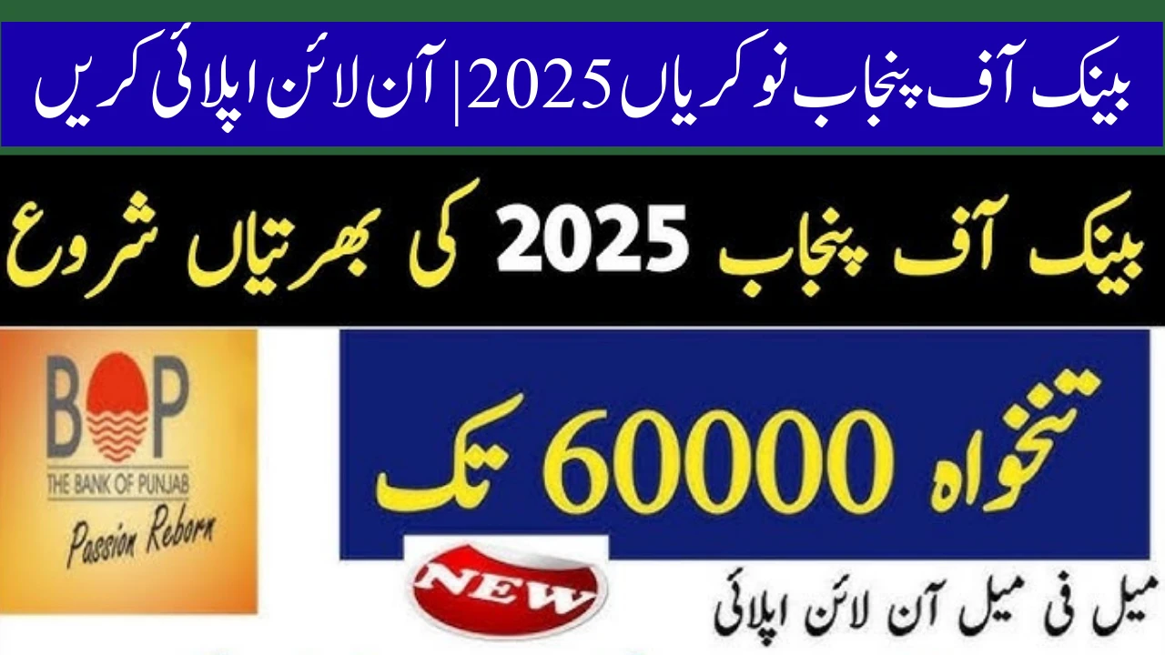 Bank Of Punjab BOP Jobs