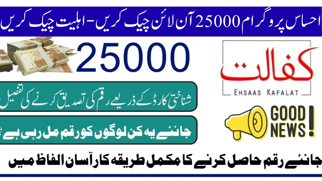 Ehsaas Program CNIC Check Online 25000