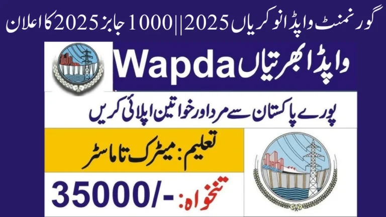 Government WAPDA Jobs 2025