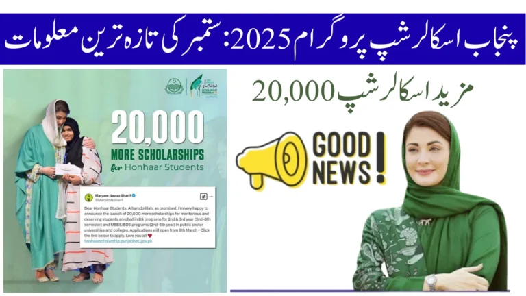 Punjab CM Scholarship Program 2025