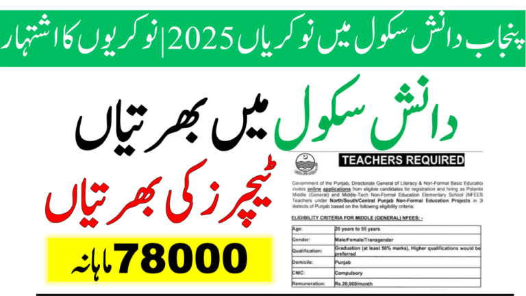 Punjab Daanish School Jobs 2025