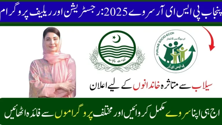 Punjab PSER Survey 2025