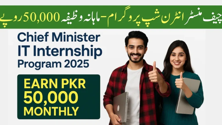 Chief Minister IT Internship Program 2025