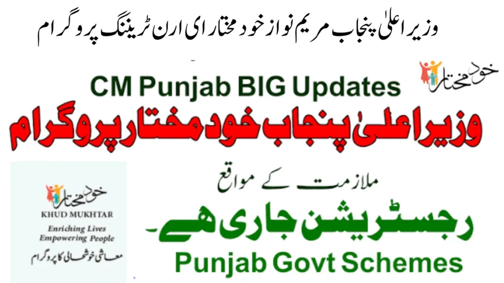 CM Khud Mukhtar E Earn Training Program Jobs