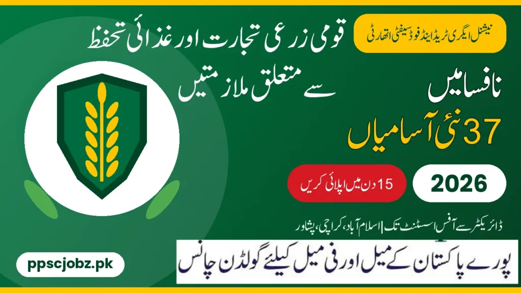 NAFSA Jobs 2026